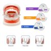 3 Stages Dental Braces Teeth Alignment